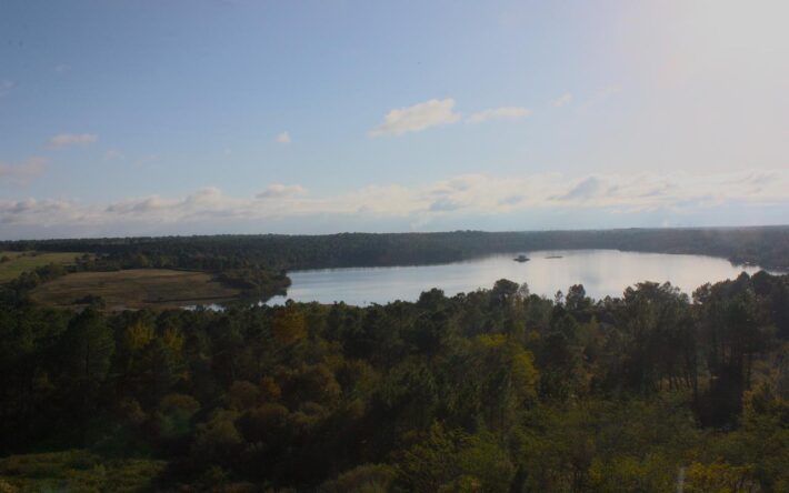 La plage du lac d’Arjuzanx, au cœur de la Réserve naturelle - Crédits photo : Banque des Territoires