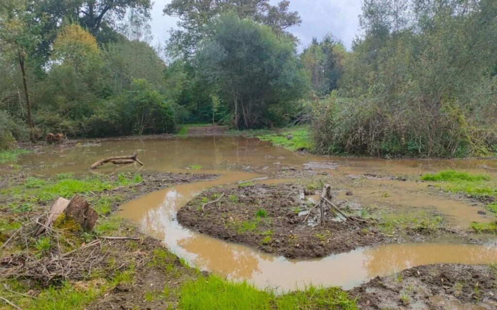 Quand la commune de Pont-Saint-Martin (44) se fait exploitante agricole pour restaurer ses zones humides