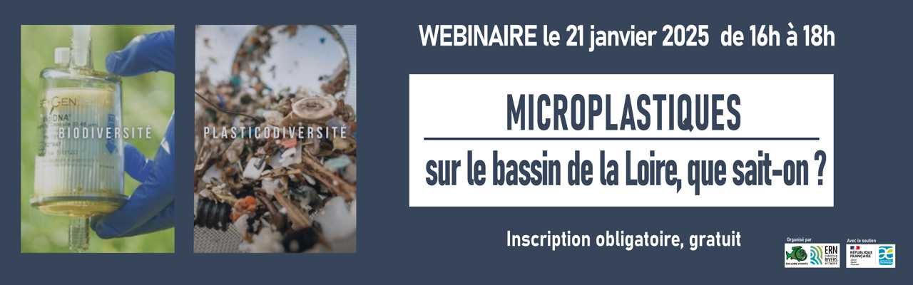 Microplastiques dans le bassin de la Loire : que sait-on ?