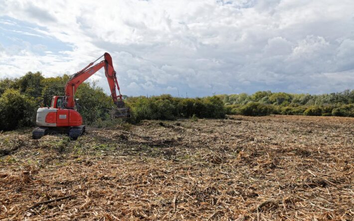 La restauration a consisté à broyer les ligneux sur place pour rouvrir deux parcelles qui s’étendent sur un peu plus de deux hectares – Crédits photo : d.delecourt