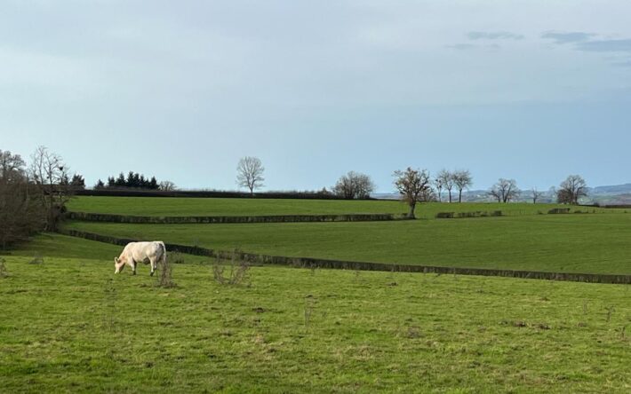 La Communauté urbaine Creusot Montceau comprend 34 communes, essentiellement rurales : le territoire est constitué à 90 % de champs, de prés et de bois - Crédits photo : Banque des Territoires