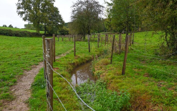 Les berges en défens empêchent la déambulation du bétail dans le cours d’eau. Les écoulements variés redonnent au cours d’eau ses capacités auto-épuratrices - Crédits photo : Banque des Territoires