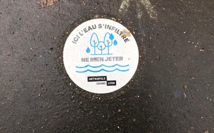 Un macaron ancré dans le sol aux abords des arbres de pluie - Crédits photo : Banque des Territoires