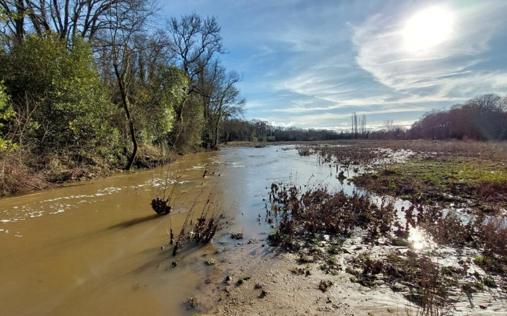 Une zone humide alluviale restaurée en bord de Mosson (34)