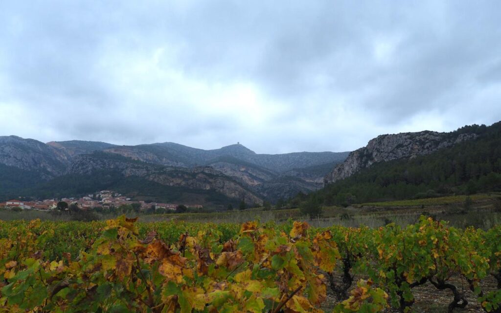 D’anciennes cuves viticoles pour stocker les eaux grises et lutter contre les incendies (66)