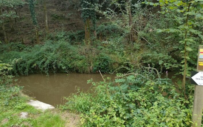 Le nouveau cheminement piéton de la rue des Monts constitue une liaison douce vers le parc Au fil du Lay et son sentier des poètes - Crédits photo : Banque des Territoires