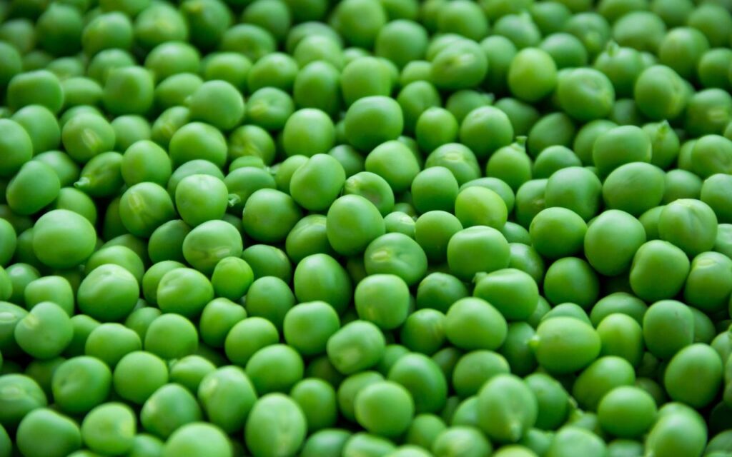 La réutilisation des eaux usées traitées dans l’agroalimentaire