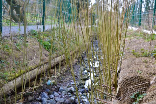Restauration des berges - Crédits photo : Commune du Cateau-Cambrésis
