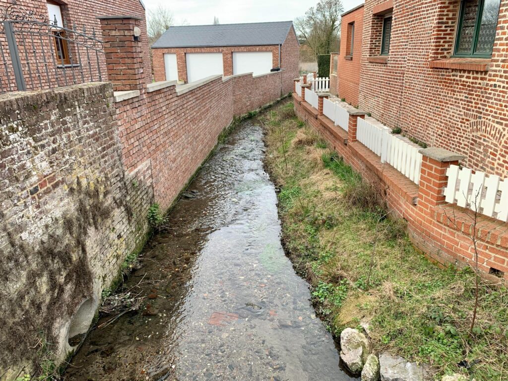 Restauration écologique d'un cours d'eau au Cateau-Cambrésis (59)