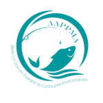 Fédération de pêche d’Indre-et-Loire (APPMA)