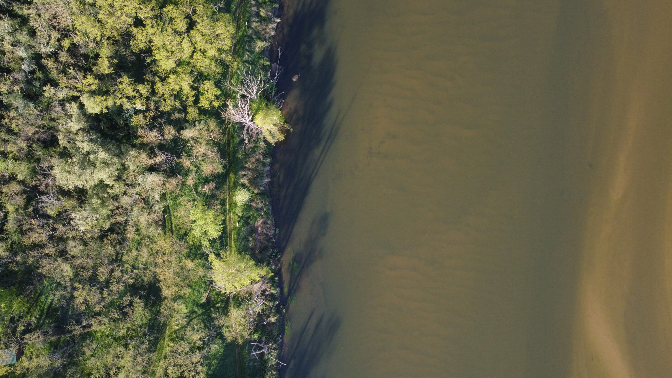 Comment renforcer la coopération et la construction de projets entre chercheurs et gestionnaires sur le bassin de la Loire ?