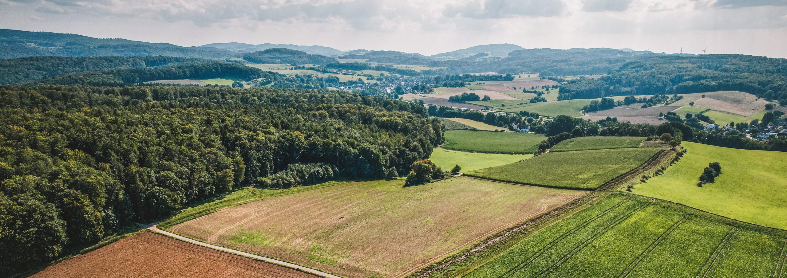 Agir sur le foncier agricole pour préserver la qualité des eaux