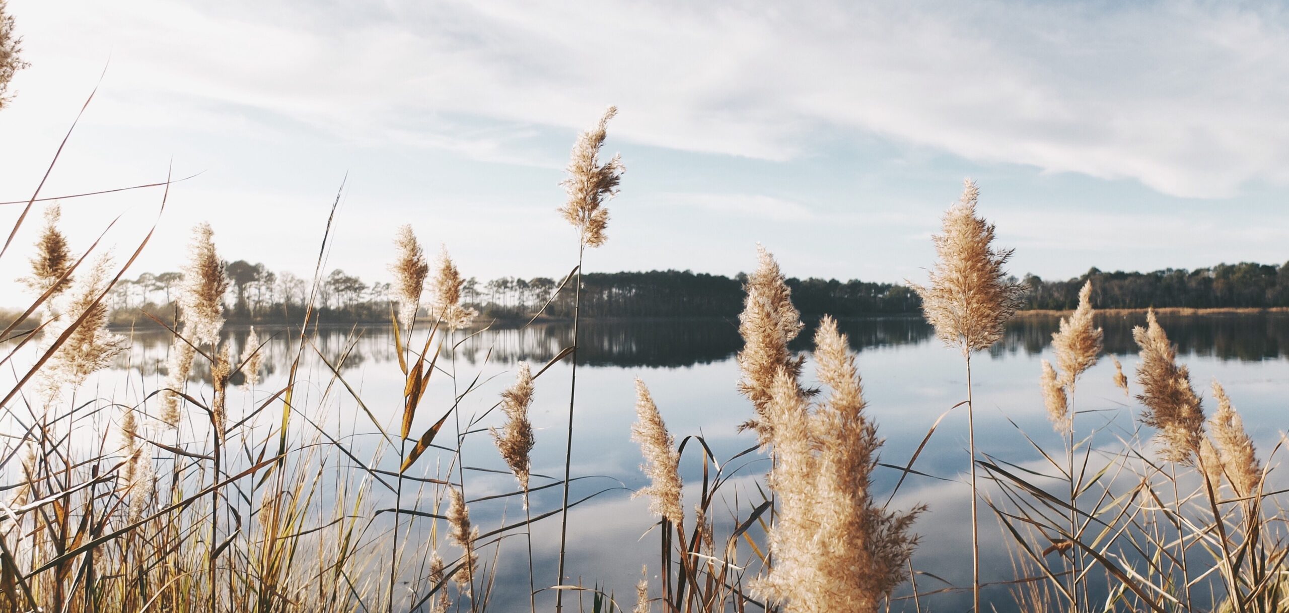 La gouvernance de l’eau : quelles légitimité et compétences locales ?