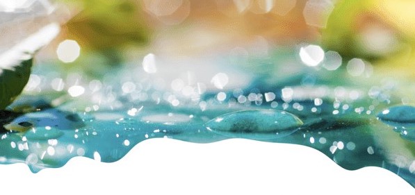 Journée scientifique sur les micropolluants