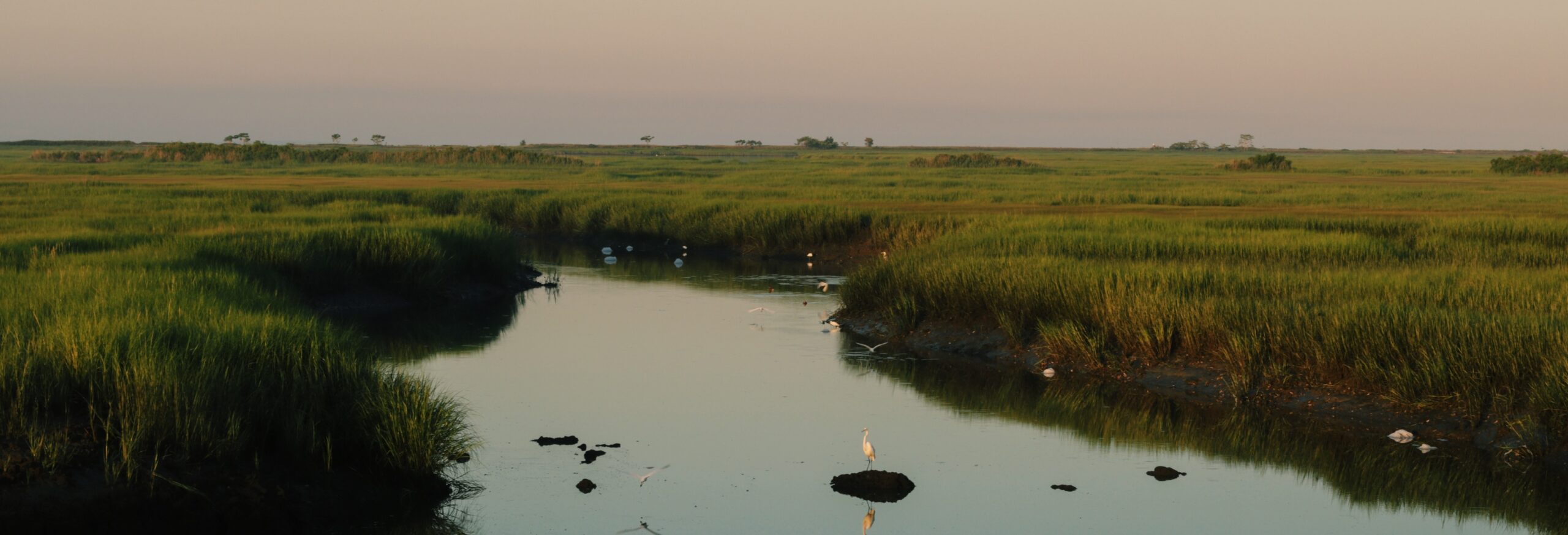 L’eau dans la ville : aménités et fragilités des zones humides urbaines du Nord et des Suds face au changement climatique